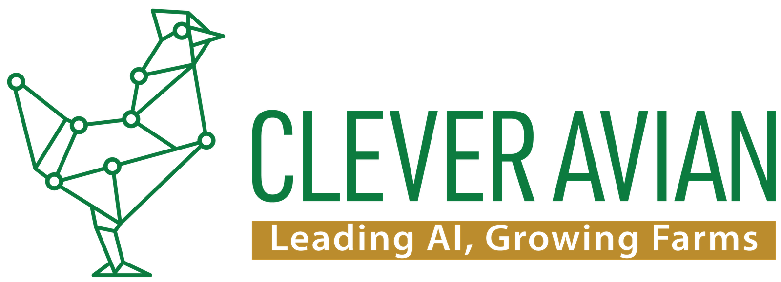 CleverAvian