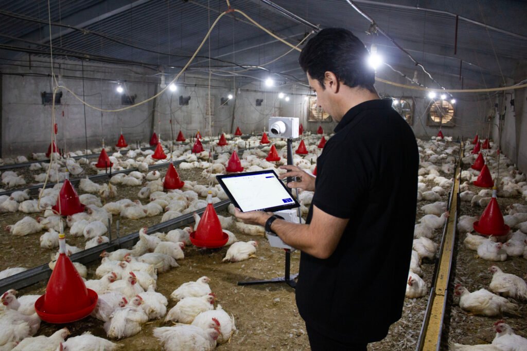 Artificial Intelligence in poultry Farming